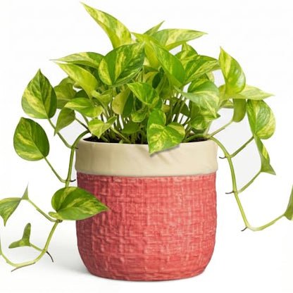 6 Inch Pots for Plants, Ceramic Planter, Round Flower Pots, Red - color: Red, size: 6 Inch