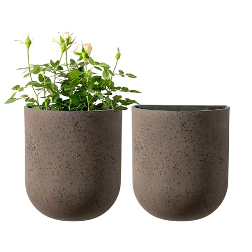 LA JOLIE MUSE Wall Planters for Indoor Plants, Hanging Flower Pots, 2 Pack - color: Iron