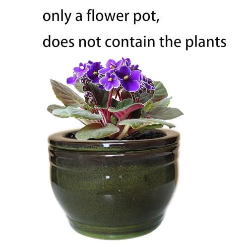 African Violet Self Watering Pots Olive drab 6 inch - color: Olive Drab