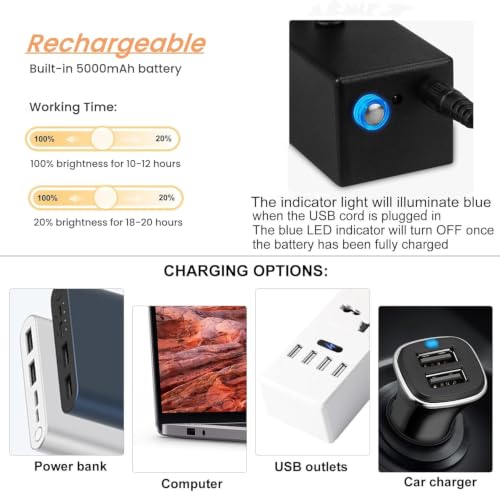 Rechargeable Picture Light with Remote, 13", Black - color: Painted Black, size: 13 inches