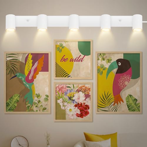 BoostArea LED Plug-in Track Light Kit, Matte White, 5-Light - color: 5 Light-White
