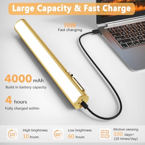 Hapfish Motion Sensor Battery Operated Wall Sconce,Wireless Picture Lights - color: Motion Sensor Gold