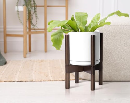 D'vine Dev Ceramic Pot with Walnut Wood Stand, White, 8 in, 55-B-Y-1 - color: White Pot + Walnut Color Stand, size: 8 Inch