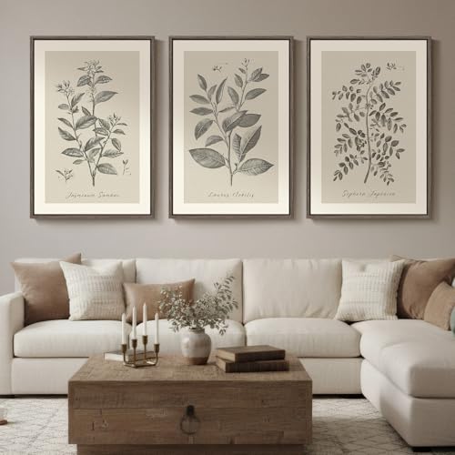 Large Framed 3 Piece Vintage Botanical Wall Art for Living Room, 24x36 In - color: Vintage Neutral, size: 24" W x 36" H x 3Pcs