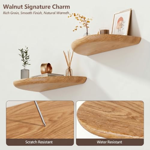 Solid Walnut Floating Shelves for Wall 15.7" Set of 2, Wall Mounted Shelf - color: Natural Wood