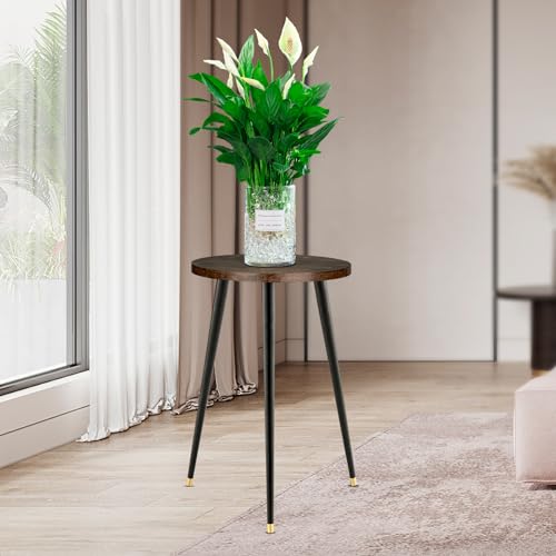 KINNARY Tall Plant Stand Indoor, Mid Century Wood Plant Stand Plant Table for Flower Pots, Heavy Duty Metal Plant Holder, Modern Home Decor Small Round Side End Table (11.8"x20") - color: Brown 11.8"x20"