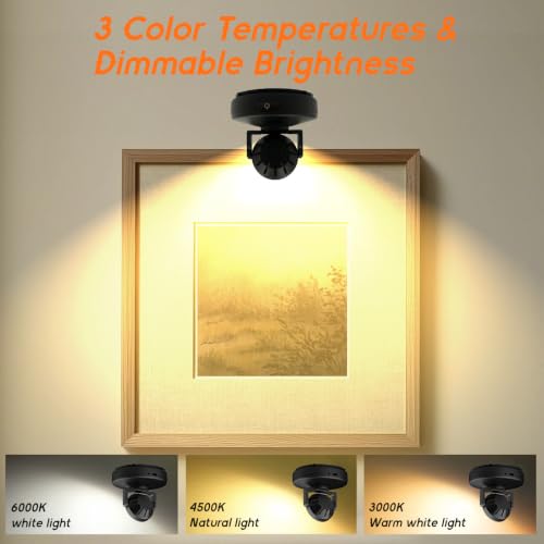 2Pack Rechargeable Battery LED Spotlight Indoor, Wireless Mini Art Accent Spot Lights with Remote Control Dimmable & Timer, Dimmable Uplight for Plants Display Painting Dartboard Portrait Closet - color: Black