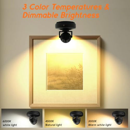 2Pack Rechargeable Battery LED Spotlight Indoor, Wireless Mini Art Accent Spot Lights with Remote Control Dimmable & Timer, Dimmable Uplight for Plants Display Painting Dartboard Portrait Closet - color: Black
