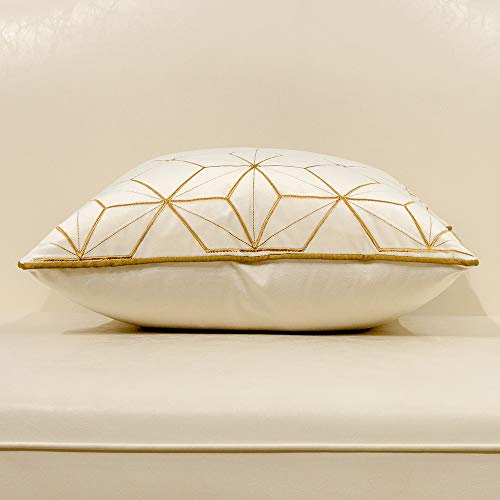 Avigers Throw Pillow Cover 20 x 20 Inch, White Gold, Velvet, Hidden Zipper - color: White, Gold, size: 20" x 20" (Pack of 1)