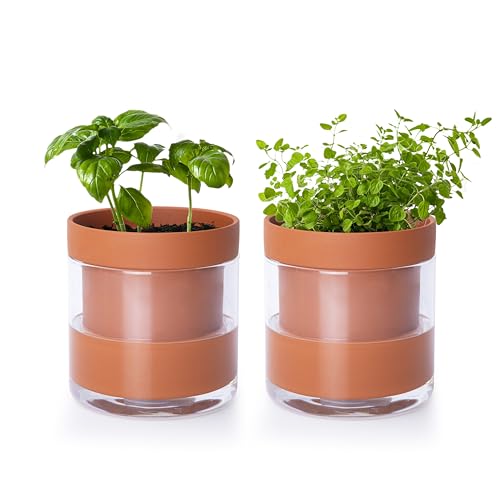 Phoenix Vine 4 Inch Self Watering Planter Pot, Terracotta Clay Pot with Glass Reservoir for Indoor Plants, Herbs, Flowers, Set of 2, 52-A-E-2 - color: Terracotta, size: 4" (2 Pack)