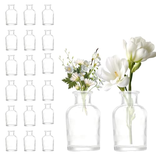 20 Pcs Glass Bud Vase in Bulk, Glass Bottles Table Decoration