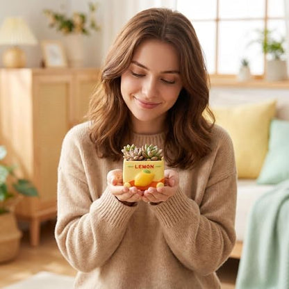 Cloud-Shaped Small Succulent Planters, 3.4''Dog Cute Plant Pots with Drainage Holes Funny Mini Resin Flower Pots for Indoor Outdoor Home Office Gifts (Mini B) - style: Mini B