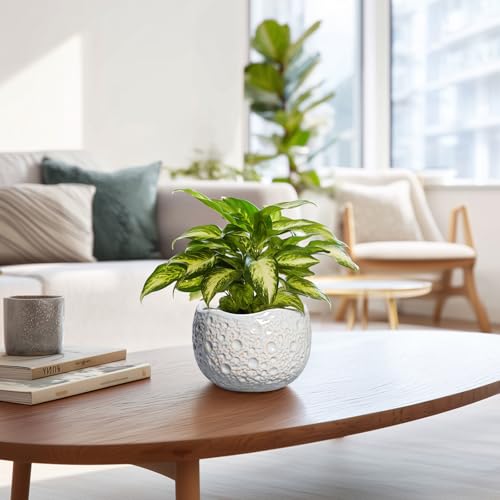 Ceramic Plant Pots 6 Inch, Ceramic Orchid Pot with Drainage, Grey - color: Gray, size: 6.2 Inch