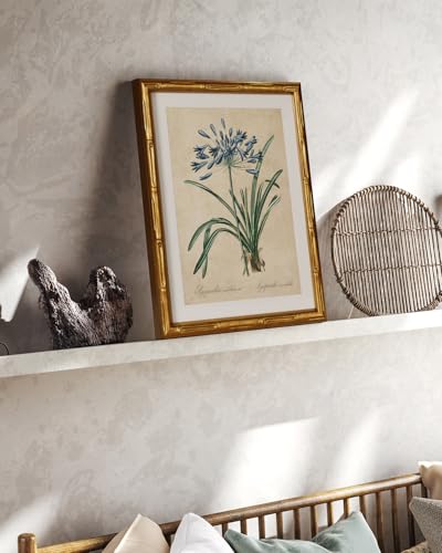 InSimSea Gold Bamboo Framed Wall Art, Retro Lily Botanical Prints, 11x14In - color: African Lily