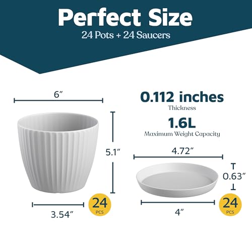 White 6-Inch Plant Pots with Drainage & Saucers 24 Pack, Indoor & Outdoor Planters for Houseplants, Herbs, and Flowers, Durable & Weatherproof Material, Stackable, Lightweight, Minimalist Design - color: White, size: Pack of 24