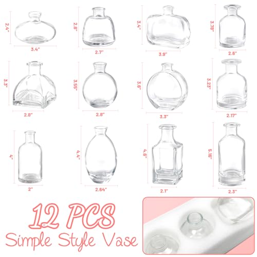 Bud Vases Set of 12, Clear Glass Bud Vase in Bulk, Small Vases - color: Clear Set of 12