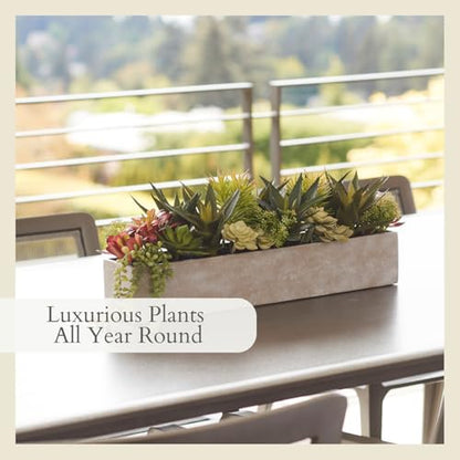 CG Hunter, Oblong Faux Succulent Arrangement, 27 in, Natural, Home Decor - size: 27" Oblong Natural