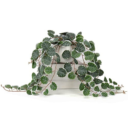 Briful 17" Artificial String of Hearts Plant in White Ceramic Pot - color: Green