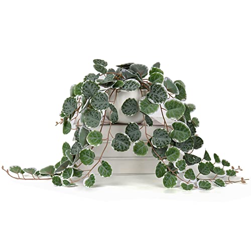 Briful 17" Artificial String of Hearts Plant in White Ceramic Pot - color: Green