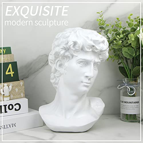 Norrclp 11in Greek Statue of David, Classic Roman Head Bust - color: David-11in