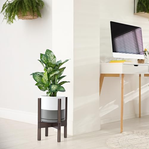 D'vine Dev Ceramic Pot with Walnut Wood Stand, White/Grey, 8 in, 55-B-Y-6 - color: White/Grey Pot + Walnut Color Stand, size: 8 Inch