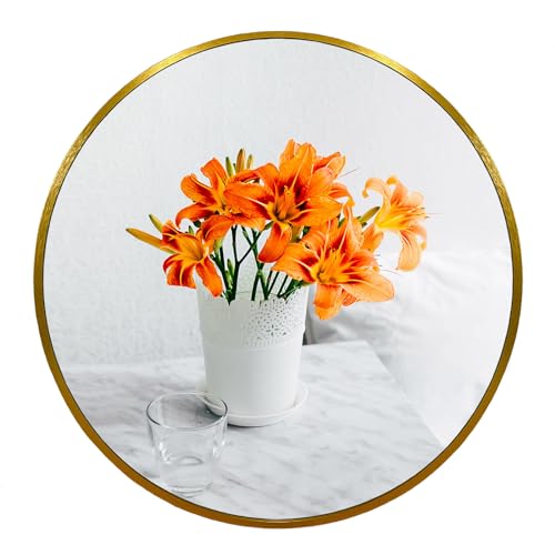 Oruii Small Round Mirror, 18 inch Gold Circle Mirror, Gold Metal Frame - color: Gold, size: 18"L x 18"W