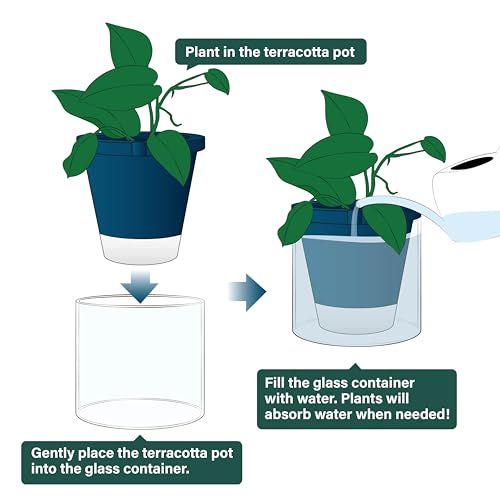 D'vine Dev Self-Watering Blue Terracotta Planter Pot, 8 in, 37-X-C-4 - color: Blue, size: 8 Inch
