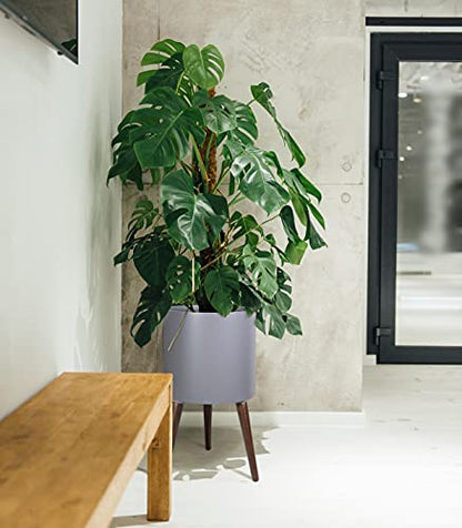 D'vine Dev 14 Inch Planter Pot with Wood Stand, Grey, 88-O-D-3 - color: Matte Grey, size: X-Large