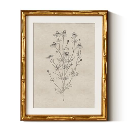 InSimSea Gold Bamboo Framed Wall Art, Chamomile Botanical Prints, 11x14In - color: Chamomile