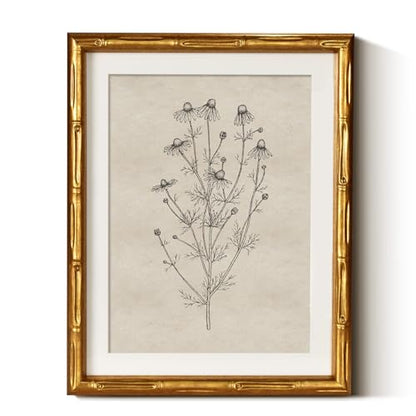 InSimSea Gold Bamboo Framed Wall Art, Chamomile Botanical Prints, 11x14In - color: Chamomile