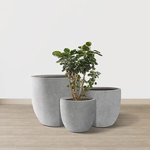 Kante Set of 3 Pale Gray Concrete Curved Planters 20" 16.5" 13.3" Dia - color: Natural Concrete, size: 20.1"d + 16.5"d + 13.4"d
