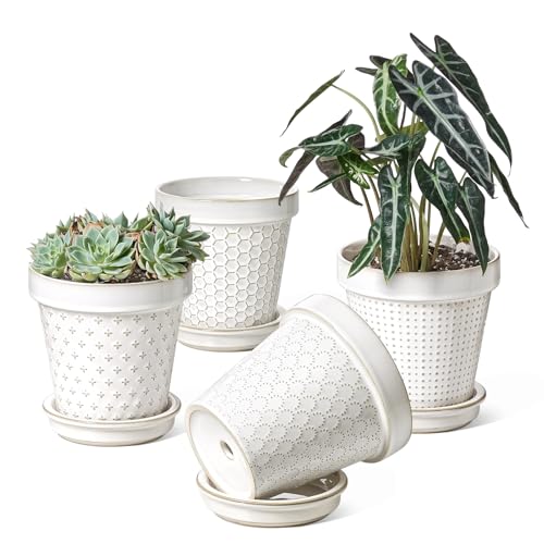 LE TAUCI Ceramic Plant Pots, 6 Inch Flower Pot with Drainage Hole & Saucer, Embossed Planter Pots for Indoor Plant Succulent, Orchid, Cactus, Home Decor - Set of 4, Arctic White - size: 6 inch