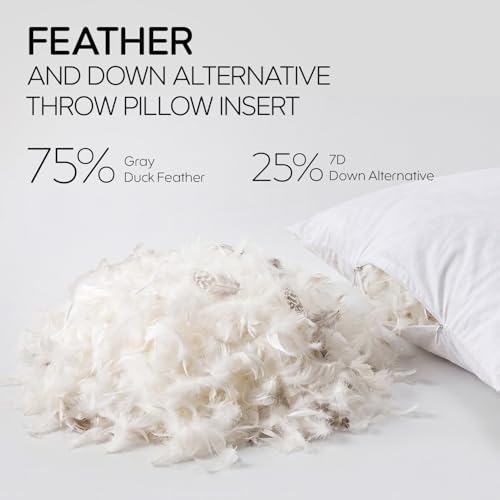 Feather Throw Pillow Inserts Set of 4, Soft Fluffy Square 22 x 22 Inches Decorative Pillow Insert, Feather and Down Euro Pillows for Bed, Couch and Cushion - size: 22 x 22-Inch
