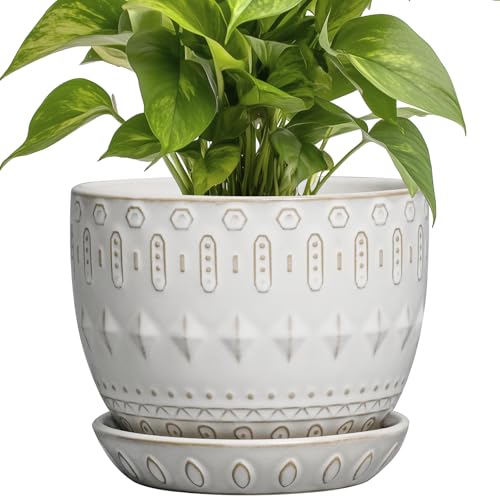 G EPGardening Ceramic Plant Pot - Succulent Pots with Drainage Hole and Saucer 5 Inch Planter for Indoor Plants Outdoor Decorative Round Flower Pot White - color: Columnar White