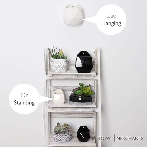 Succulent Wall Planters - Wall Vases - White Ceramic Wall Mounted Planters - Succulent Plant Pots - Hanging Vases for Living Wall (2 Pack/Geometric/White) - color: Geometric (White)