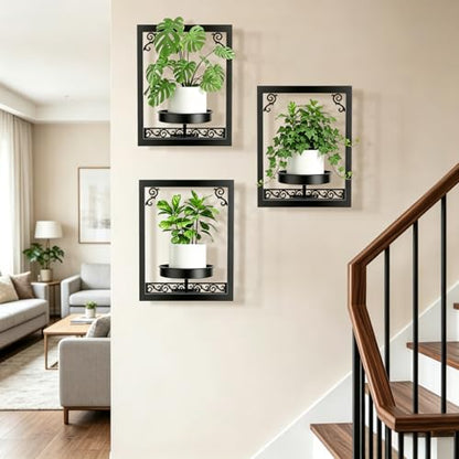 WGFKVAS Wall Plant Holder Set of 3, Picture Frame Plant Holder