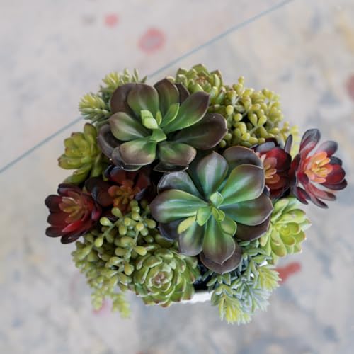 CG Hunter, Round Faux Succulent Arrangement, 12 in, White, Home Decor - size: 12" Round White