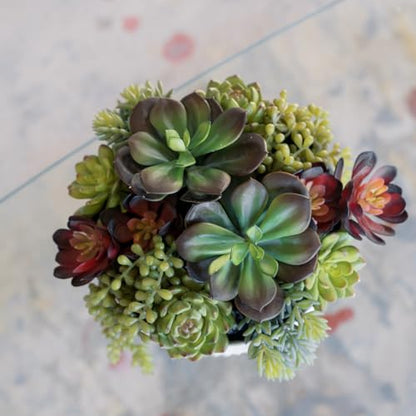 CG Hunter, Round Faux Succulent Arrangement, 12 in, White, Home Decor - size: 12" Round White