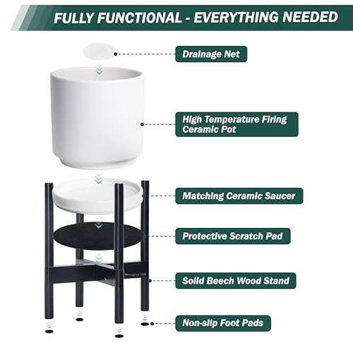 D'vine Dev Ceramic Pot with Ebony Wood Stand, White, 8 in, 55-B-M-1 - color: White Pot + Ebony Stand, size: 8 Inch