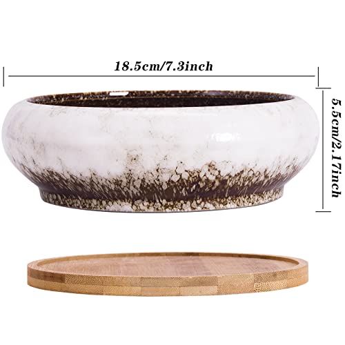 Bonsai Pots, 7.3 Inch Large Succulent Pots with Drainage Shallow Plant Pots - color: White