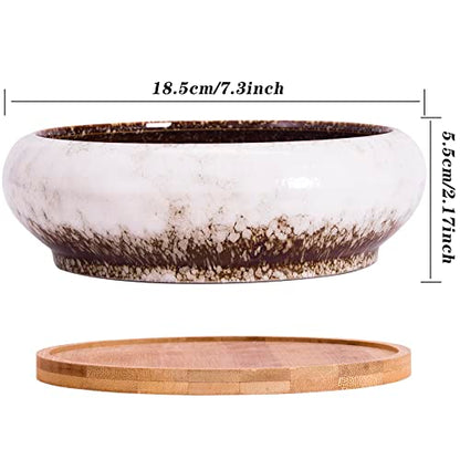 Bonsai Pots, 7.3 Inch Large Succulent Pots with Drainage Shallow Plant Pots - color: White