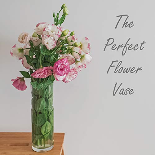 CYS Excel Clear Glass Cylinder Flower Vase, 14" Height x 4" Diameter, Elegant Hand-Blown Glass Wedding Floral Centerpiece Versatile Hurricane Candle Holder - size: H-14" D-4"