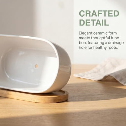 2 Pack Oval White Ceramic Succulent Planters with Bamboo Tray