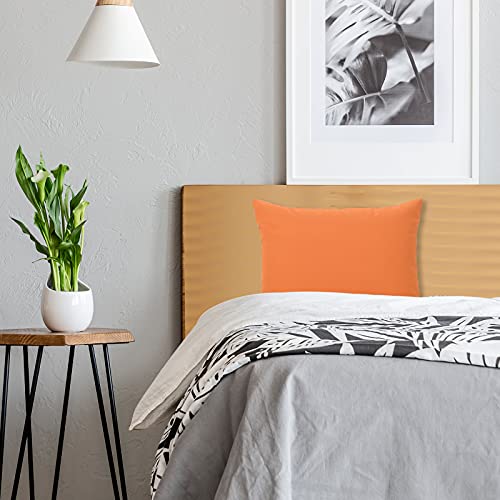JMGBird Outside Pillows Patio Pillows Outdoor Throw Pillow with Insert - color: Orange