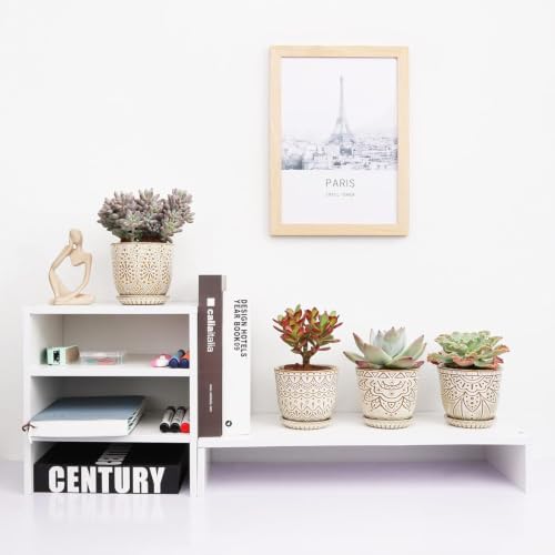 Gepege Ceramic Succulent Pots, 4 Inch Small Plant Pots with Drainage - color: Cream White, size: 4 Inch - Set of 4