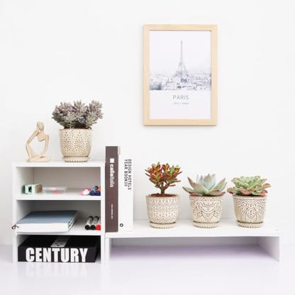 Gepege Ceramic Succulent Pots, 4 Inch Small Plant Pots with Drainage - color: Cream White, size: 4 Inch - Set of 4