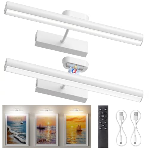 Picture Light for Wall, 4000mAh, White, 13.8 Inch, 2 Pack - color: White