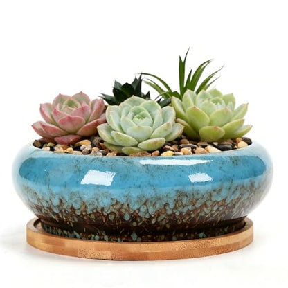 Succulent Pots, 7.3 Inch, Round Large Shallow Flower Plant Pots