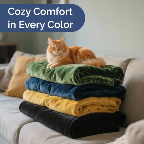 Fleece Blanket Queen Size - Ultra-Soft Flannel Fleece Blanket - Royal Blue - color: 28 - Royal Blue, size: Queen (90" x 90")