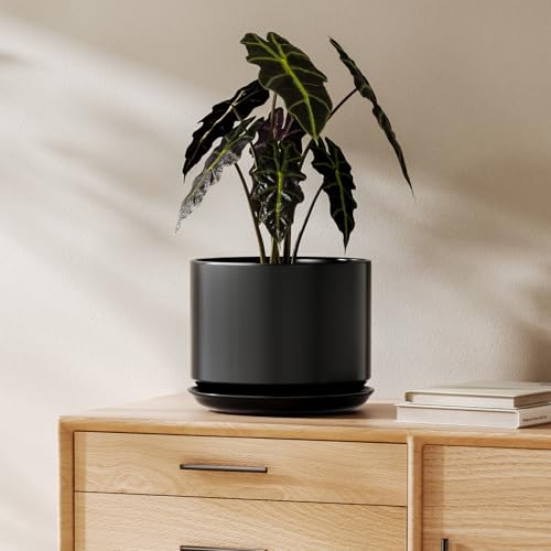 LE TAUCI 8 Inch Plant Pot, Ceramic Pots for Plants, Black - color: Black, size: 8"